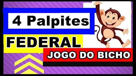 palpite federal hoje jogo do bicho